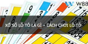 Tìm hiểu về lô tô W88