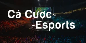 Cược esports w88