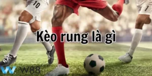 Tìm hiểu về kèo rung w88