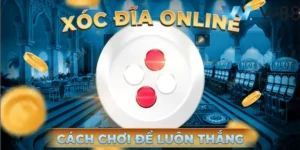 Vận dụng các chiến thuật thông minh trong Xóc đĩa W88